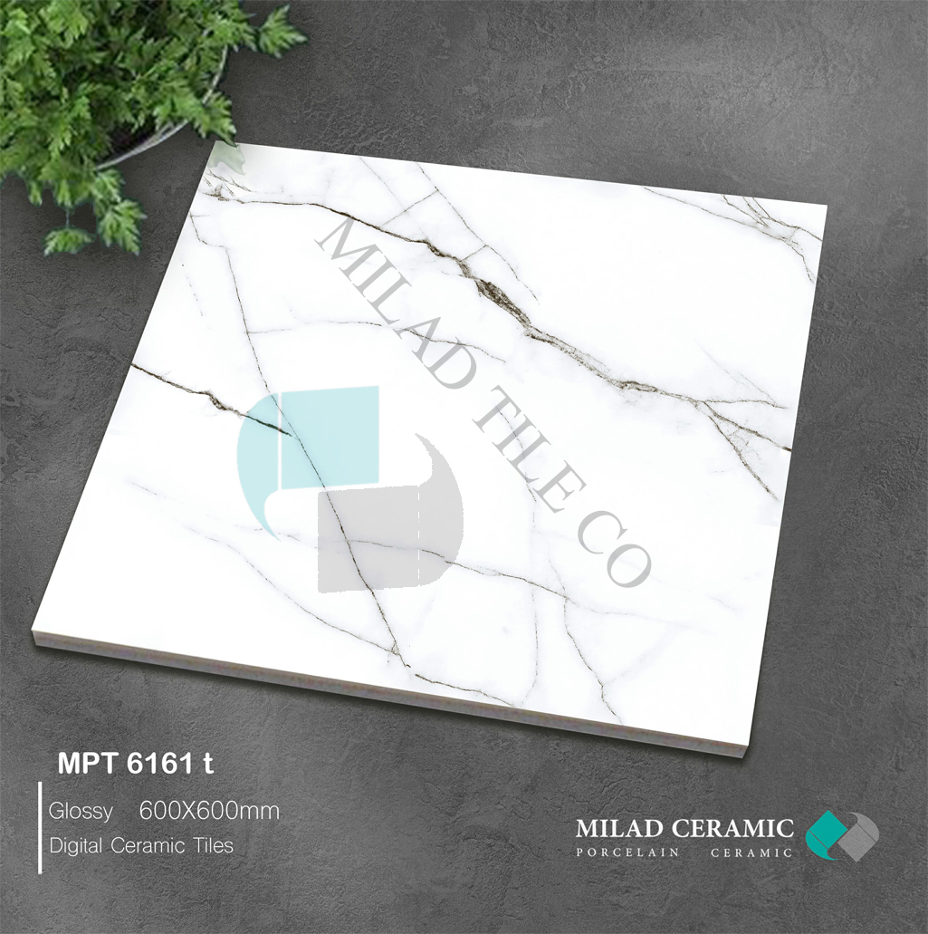6161 , MILAD , GLOSSY MPT6161-T