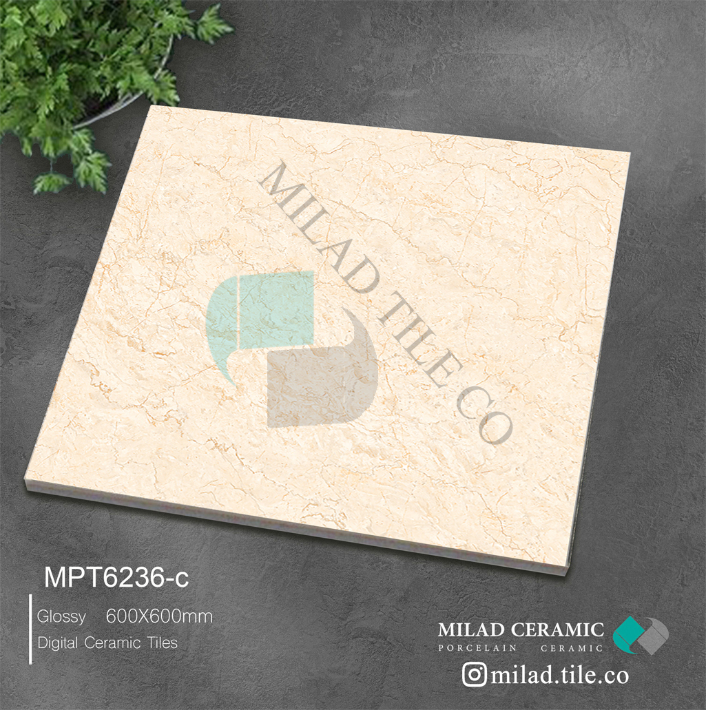 6236 , MILAD , GLOSSY MPT6236-C